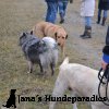Regenwanderung 2015